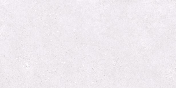 Basalt Exceptional Snow Light Grey Matte