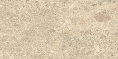 Керамогранит Atlas Concorde Italy Nyra Ambrosia Matt 60x120 HCRA