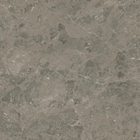 Керамогранит Atlas Concorde Italy Marvel Meraviglia Grigio Elegante Lappato 9 mm 60x60 AJI8