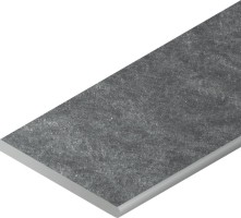 Genesis Х2 Silver Bor. Round Dx