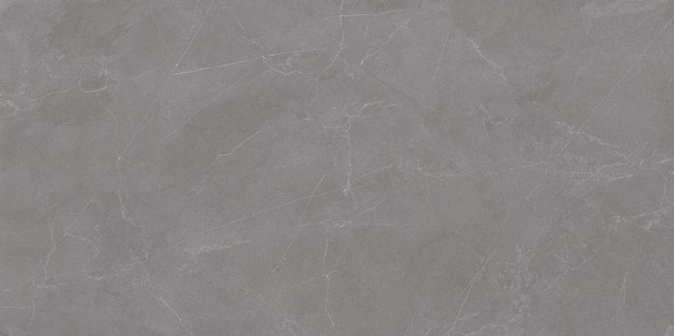 Керамогранит Staro Rizzi Valencia Grey Matt 60x120 99660418