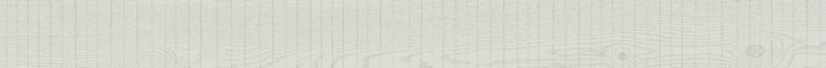 Керамогранит Living Ceramics Rem White 10x120 LV11769