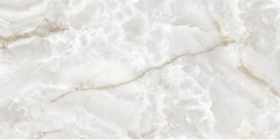 Керамогранит Arcadia Ceramica Rifei Onyx Grey 60x120 FP9003-CF