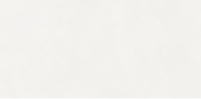 Керамогранит Neodom Loft Aston White Matt 60x120 N110011