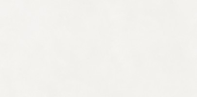 Керамогранит Neodom Loft Aston White Matt 60x120 N110011