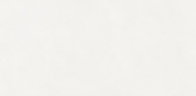 Керамогранит Neodom Loft Aston White Matt 60x120 N110011