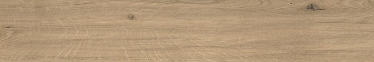 Керамогранит Atlas Concorde Italy Log Mon Oak Forest Grip 20x120 AX4L Керамогранит Atlas Concorde Italy Log Mon Oak Forest Grip 20x120 AX4L