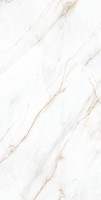 Керамогранит Creanza Selva Gold 60x120 CP4004-A
