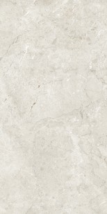 Marble Palermo Silver Matt Glr