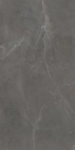 Керамогранит Wifi Ceramics Shell Grey Struct 60x120 SLL61284G