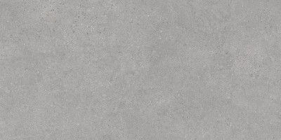 Керамогранит Kerama Marazzi Фондамента Серый Светлый Обрезной 119.5x238.5 DL590020R Керамогранит Kerama Marazzi Фондамента Серый Светлый Обрезной 119.5x238.5 DL590020R