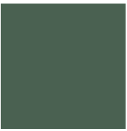 Керамогранит TopCer Victorian Designs Green 18 Loose 10x10 L4418-1Ch