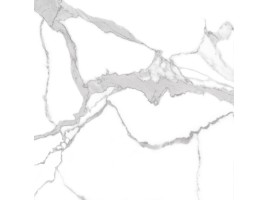 Oasis (Global Tile)