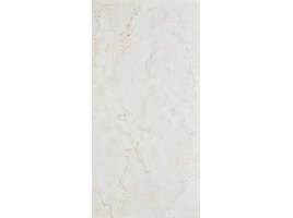 Exterior Ceramica Maximal Collection