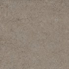 Discover Desert Ret