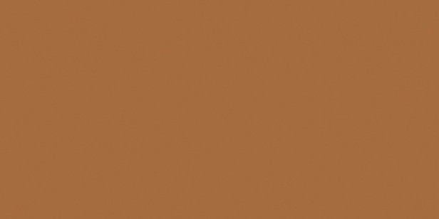 Керамогранит Ocean Ceramic Exotic Light Brown Matt 60x120 OC0000205