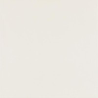 Керамогранит Paradyz Elegant Surface Bianco Rekt. Mat. 59.8x59.8 