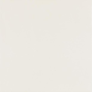Керамогранит Paradyz Elegant Surface Bianco Rekt. Mat. 59.8x59.8 