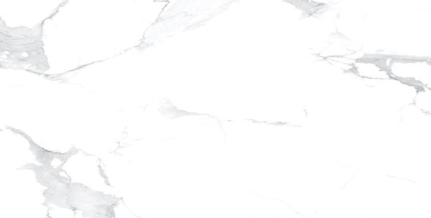 Carving Cela Statuario