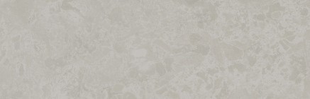 Подступенок Kerama Marazzi Ферони серый светлый матовый 9.6x30 SG956300N/3