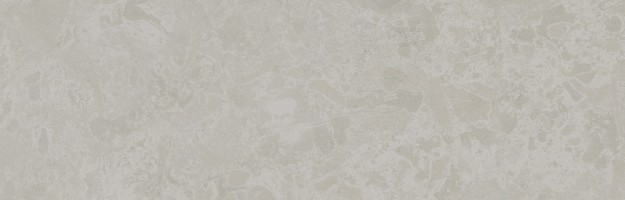 Ферони серый светлый матовый 9.6x30 SG956300N/3