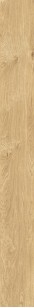 Plein Air Gold