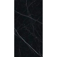 Керамогранит Ariostea Marmi Classici Nero Marquinia Levigato Silk 60x120 PK612547