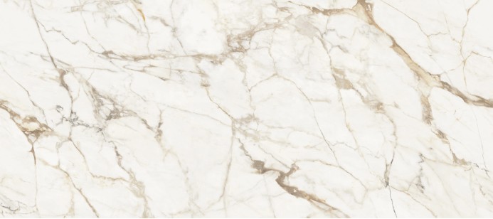 Calacatta Gold Silk