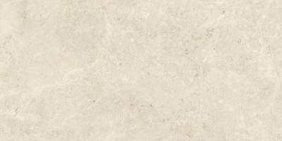 Керамогранит Atlas Concorde Italy Nyra Star Matt 60x120 HCQ4