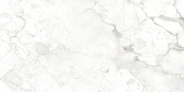 Керамогранит Ocean Ceramic Breccia Bianco 60x120 OC0000176