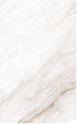Спеченный камень X Stone Michel Angelo Polished 120x278
