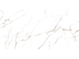 Zenith (Colortile)