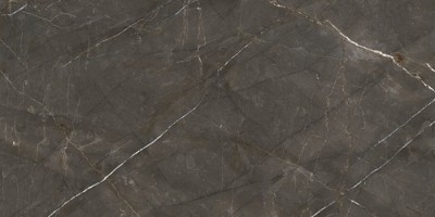 Керамогранит Ariostea Marmi Classici Pulpis Grey Lucidato Ret 60x120 PL612515