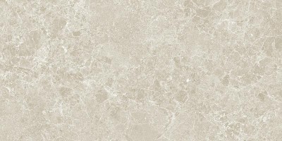 Керамогранит STN Ceramica Charisma P.E. Sand Mt Rect 100x100
