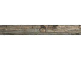 Salvage (Rondine)