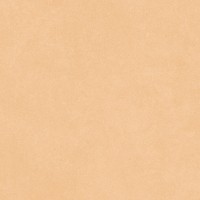 Керамогранит Motto Ceramic Levels Melon Yellow Matt 20x20 N100006