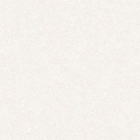 Керамогранит Nevel White Mat