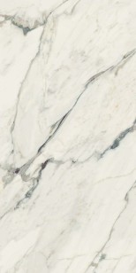Canova Breccia Capraia Lap Rett