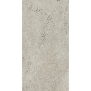 Metropolis Absolut Silver