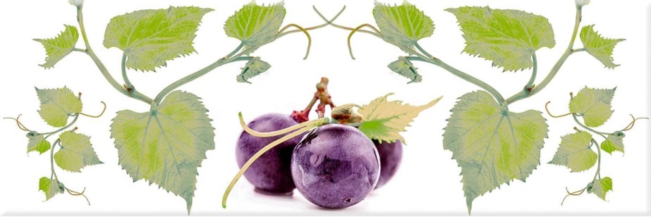 Декор Absolut Keramika Monocolor Decor Grapes 03 10x30 AK1143