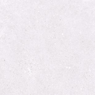 Basalt Exceptional Snow Light Grey Matte