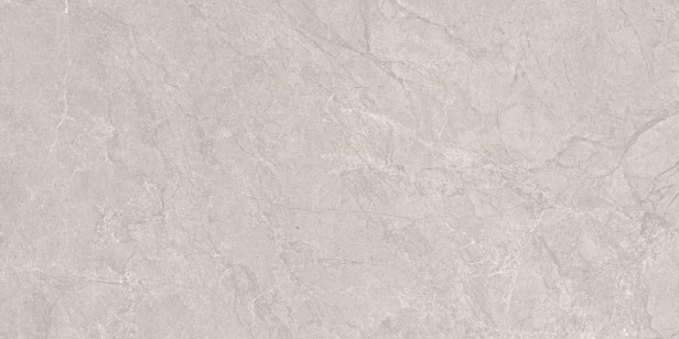 Керамогранит Neodom Marble Aristo Grey Tm 60x120 N20555