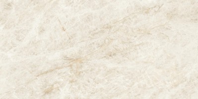 Керамогранит Atlas Concorde Italy Marvel Epic Taj Mahal White 60x120 HEAK