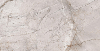 Керамогранит Alpas Cera Premium Marble Dragon Grey Silk 60x120