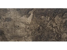Seranit Fossil