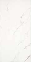 Керамогранит Casalgrande Padana Marmoker Statuario Grigio Antibacterial 29.5x59 2795717