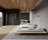 Betonica Grey Pro (Laparet)