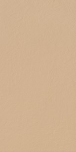 Керамогранит Serenissima Cir Chromagic Crem Caramel Rett 60x120 1074141