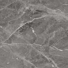 Керамогранит Global Tile Tulip Темно-Серый 60x60 GT606012109SPR