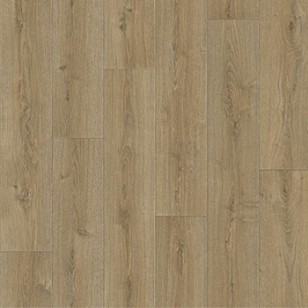 Линолеум Tarkett Praktika Bruno 2 2.5м